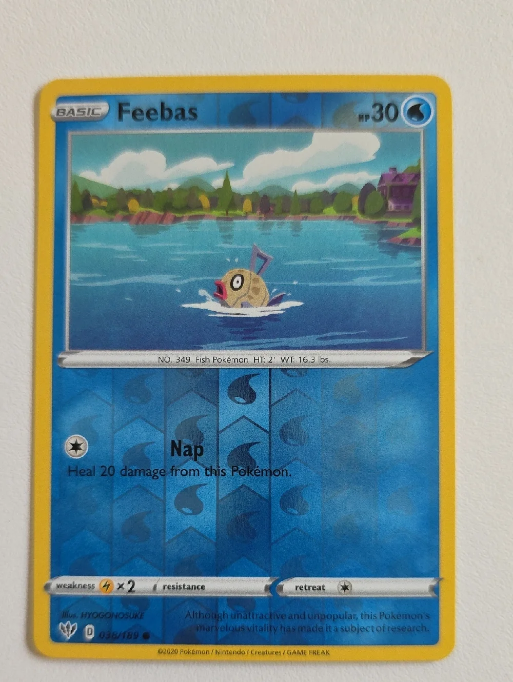 Pokemon Feebas And Cynthia's Milotic Card